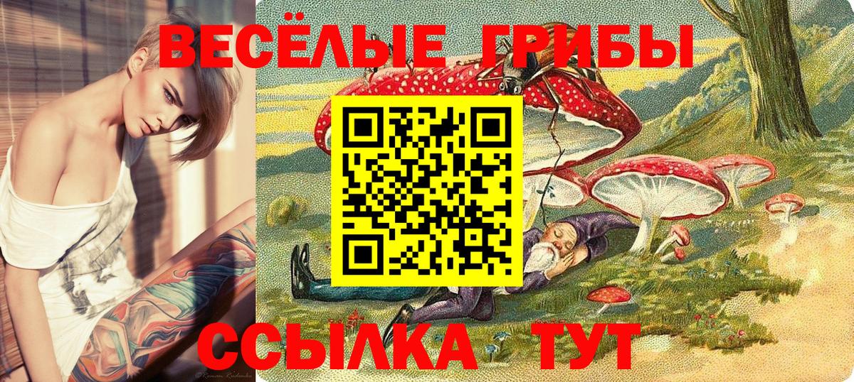 Галлюциногенные грибы Cubensis Малгобек