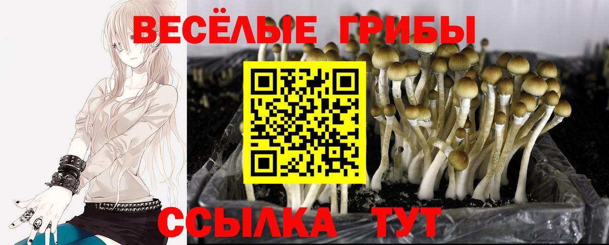 Галлюциногенные грибы Magic Shrooms  Галлюциногенные грибы мухоморы  Малгобек  Вход с VPN 